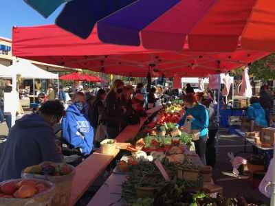 The Farmington Farmers Market is all about Saturday life in a Michigan small town.  Located in the heart of the downtown we boast over 40 vendors including 15 Michigan farmers , foragers and producers safely spread out over 40,000 sq ft at our outdoor mar
