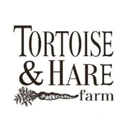 Tortoise & Hare