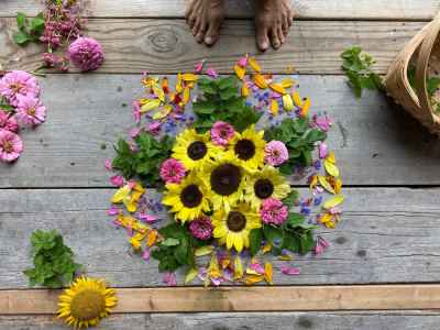 Creating a Flower & Herb Mandala