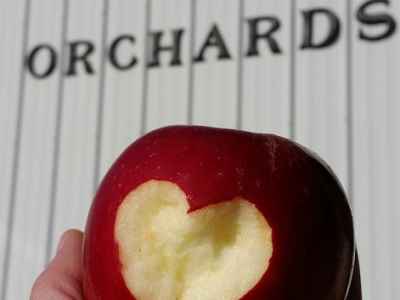 Almar Orchards Flusing MI