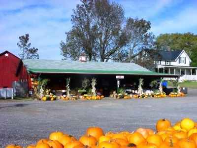 Gallagher's Farm Market