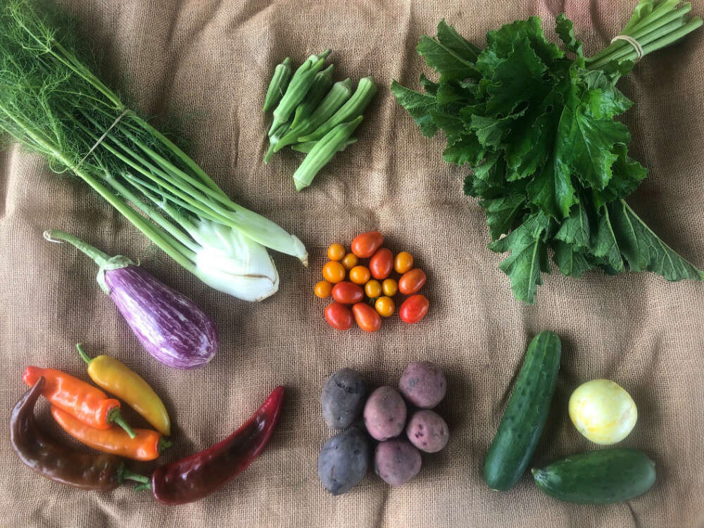 a sampling of kale, okra, fennel, eggplant, peppers, tomatos, potatoes, cucumbers and an onion arranged neatly on burlap
