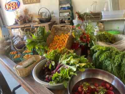 Fruits and vegetables displayed for sale at Bodega Loya.