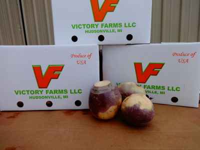 Victory Farms Rutabaga Sample
