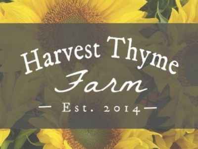 Harvest Thyme Farm Logo