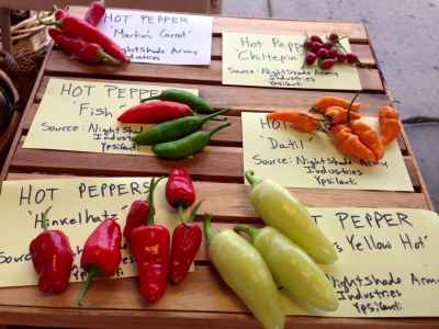 Slow Food Ark of Taste Hot Peppers: 2015
