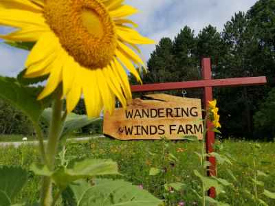 wandering winds sign