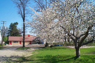 Diehl's Orchard and Cider Mill